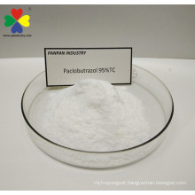 PANPAN supply PGR Plant hormone  Paclobutrazol 95%tc for fruits